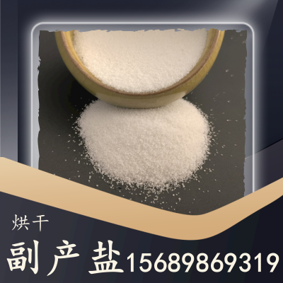 烘干副产盐